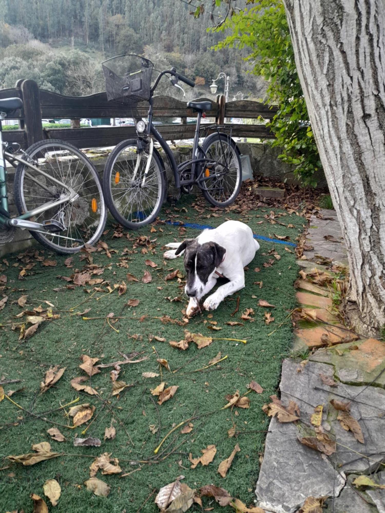 Posada Rincon Del Pas Puente Viesgo Kültér fotó